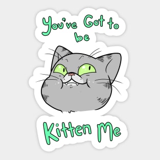 You Gotta Be Kitten Me Sticker